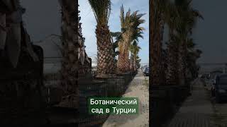 Yalova Garden 🌴 Ботанический сад в Ялова (Турция)