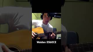 Violão Walden D560CE + AT2020