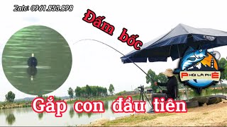 Câu Lục. Đánh giải, gắp con đầu tiên. Great black carp fishing