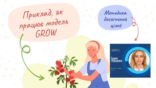 Приклад, як працює модель GROW. Методика досягнення цілей.