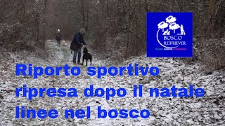 Riporto sportivo, ripresa dopo il natale, linee nel bosco