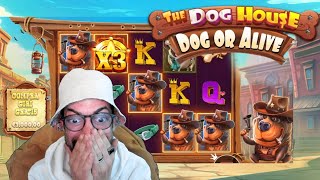 🔴 THE DOGHOUSE DOG OR ALIVE | NOVITA' PRAGMATIC PLAY | SLOT ONLINE ITA - CRAZY SLOT