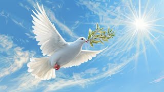 Doves: The Birds of Peace and Beauty!