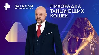 Лихорадка танцующих кошек — Загадки человечества (21.10.2024)