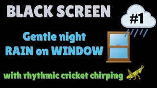 Gentle Rain on Window with Background Crickets - Black Screen