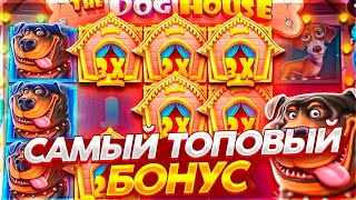 Словил БОНУСКУ ПО СТАВКЕ 600Р в THE DOG HOUSE! ЗАНОСЫ НЕДЕЛИ ДОГ ХАУС