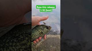 Wet my hands first #fishing #catchandrelease #creekfishing #sunfish #crappie #home #cute #shorts