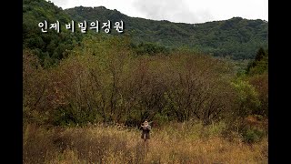 Irish Tune - Danny boy 아일랜드 음악 - 대니 보이, Trumpet Sung Jae-chang