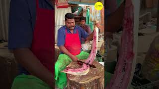 KASIMEDU SPEED SELVAM FISH CUTTING VIDEO / cutting focus #kasimeduselvam #bigfishcutting