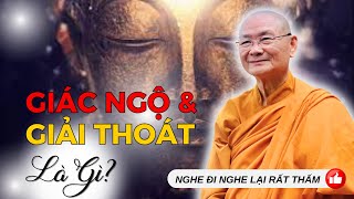 Thế Nào Là Giác Ngộ Giải Thoát? | HT Viên Minh (Nghe Đi Nghe Lại Rất Thấm)