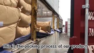 PACKING PROCESS TAPIOCA STARCH IN CONTAINER