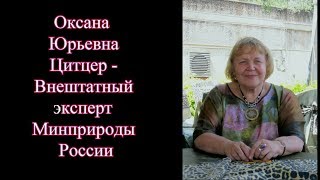 Оксана Юрьевна Цитцер о стратегии,рисках для природы и гражданском обществе