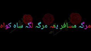 Pashto black screen Shayari || Pashto black screen WhatsApp status || #shorts