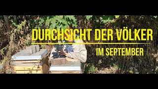 Durchsicht Anfang September