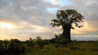 Ua tele le Saito (Leone Holy Cross Choir)