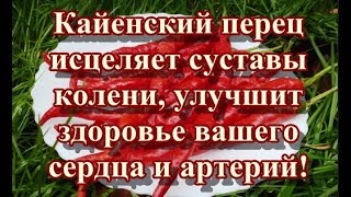 Кайенский перец исцеляет суставы   колени, улучшит здоровье вашего сердца и артерий!