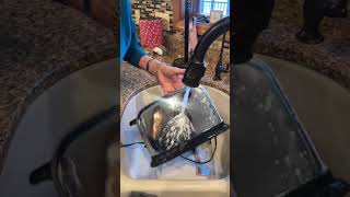 Mom goes viral for....cleaning a toaster? 👀