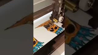 printing custom kiss cut stickers on the Roland bn20a