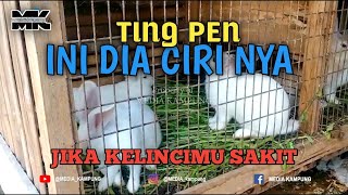 🔴8 CIRI-CIRI KELINCI YANG SAKIT