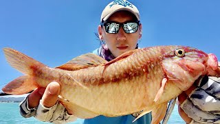 岸抛小铁板路亚海钓山羊鱼#鱼吕行Albert Fish On#手作钓竿#Lure Fishing New Zealand Stripes Goatfish On LYU Micro Jig