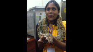 Overcoming Snake  Phobia