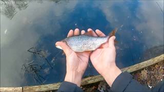 Testing My DIY Micro Rod / UK Micro Fishing