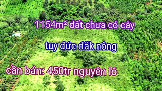 Đất rẻ. 1,1ha đất trống chỉ 450tr nguyên lô. 0987326906