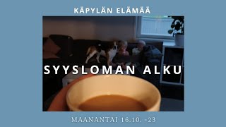 Syysloma alkoi | Ruokaostoksia | Kotiäidin elämää