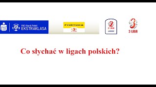 Przegląd lig polskich