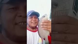 Sweet Lips... #fish #fishing #subscribe #share #like #shortvideo