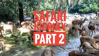 Taman Safari Bogor - Safari Journey Part 2