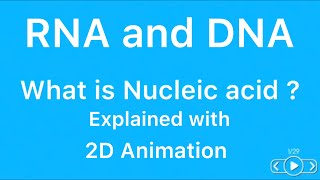 nucleic acids  animation|Easy-Teach