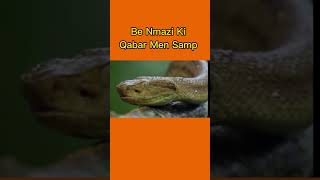 بے نمازی کا انجام #benmazi #qabar #samp #snake #benmazi