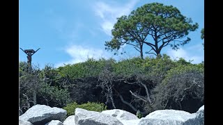 Jekyll Island beach Labor Day scenery