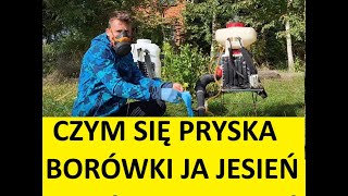 Czym Pryskać Borówki na Jesień Kilka 2 Najpopularniejsze Zabiegi !!