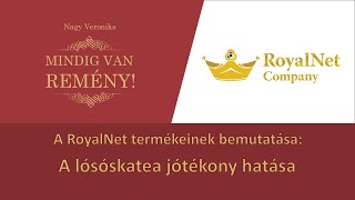 A RoyalNet termékeinek bemutatása – A lósóskatea jótékony hatása