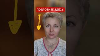 🐕📝🐾 Кучерявые длинношерстные лабрадоры - настоящие?