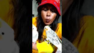 TUJUH MENIT NGOBROL SAMA BURUNG