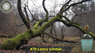 Jaskiniowiec. #79 Leśny bimber