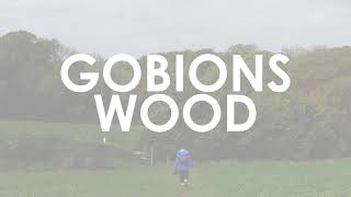 Gobions Wood Nature Reserve