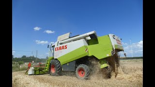 Gerst dorsen / Claas lexion 450 / Akkerbouwbedrijf Raeymaekers