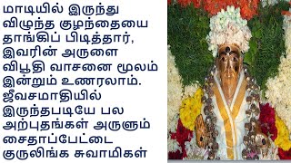 Saidapet Gurulinga Swamigal-சைதாப்பேட்டை குருலிங்க சுவாமிகள்