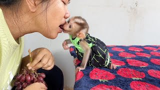 OMG!! Sweeet Lil Bubu Rush To Eat Grape With His Mom So Delicious