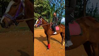 Horse #reels #subscribe #shortvideos #trending