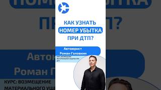 Как узнать номер убытка (номер страхового дела) в делах при ДТП? #курсыдляюристов #дтп2024 #юрист