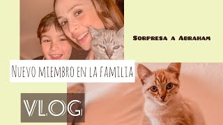 Una SÚPER SORPRESAA💥adoptamos una mascota