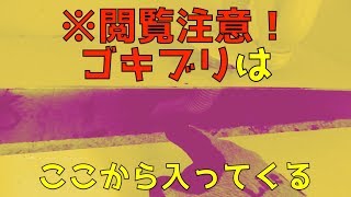 必ず役立つ！ゴキブリはどこから入ってくるのか？侵入経路と室内で見ないようにする対策