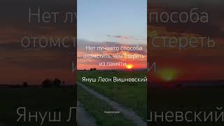 Доброе утро, нет лучшего способа отомстить как просто забыть #рекомендации #цитаты #счастье #любовь