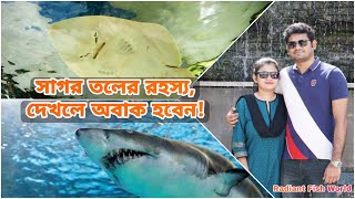 Radiant Fish World Cox's Bazar | Ticket Price | সাগরতলের রহস্য | 4K Video