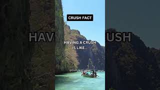 Having a crush is like… #shorts #psychologyfacts #subscribe